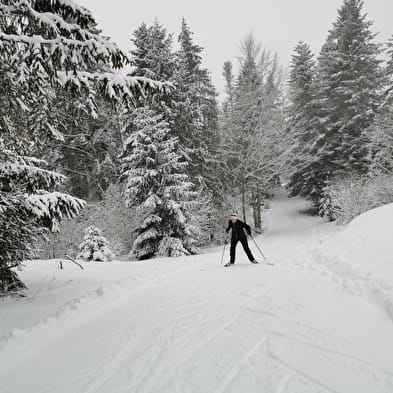 Apremont - Piste bleue de ski nordique