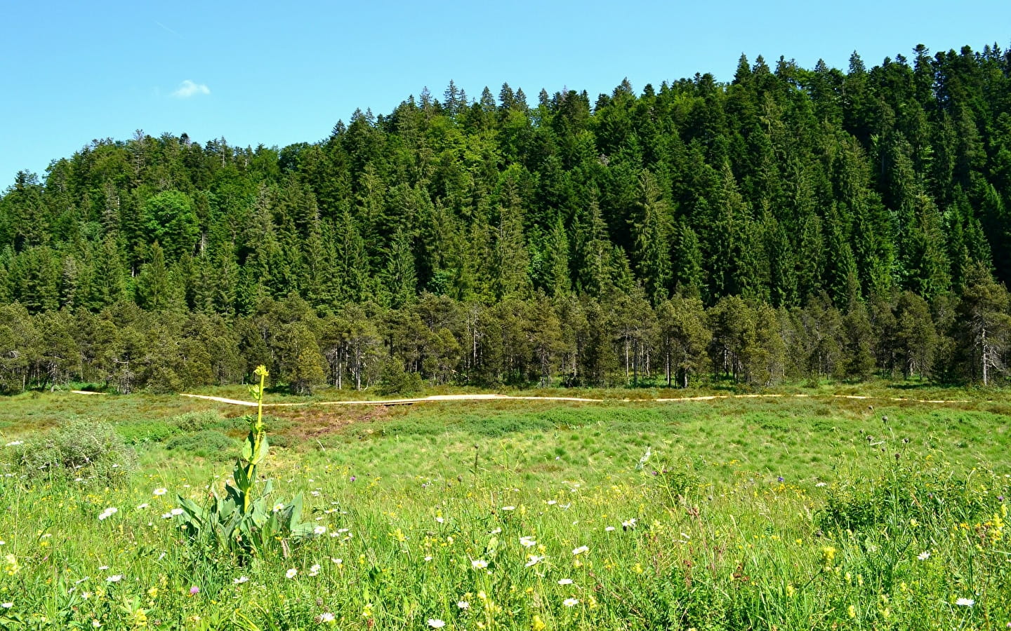 Les combes de Prénovel