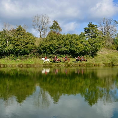 Centre Equestre de Lavant