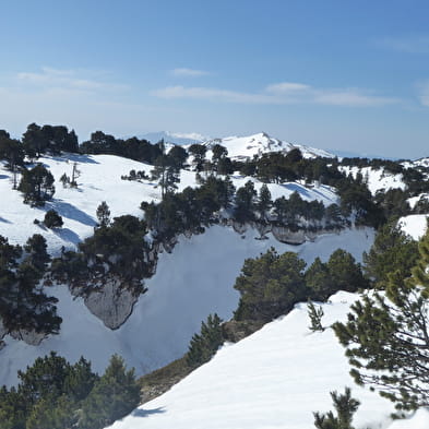 Le Crêt de la Neige