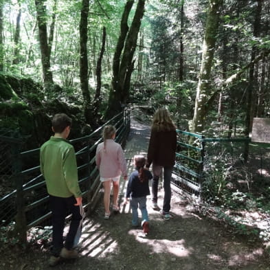 Sentier karstique du Grand Bois et grotte Maëva