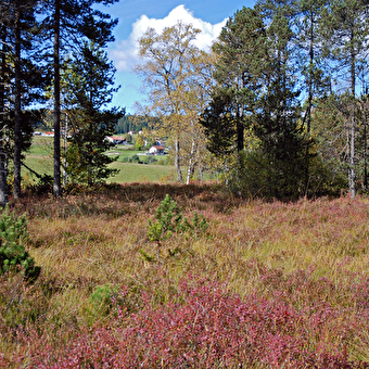 Réserve Naturelle Régionale des tourbières du bief du Nanchez - NANCHEZ