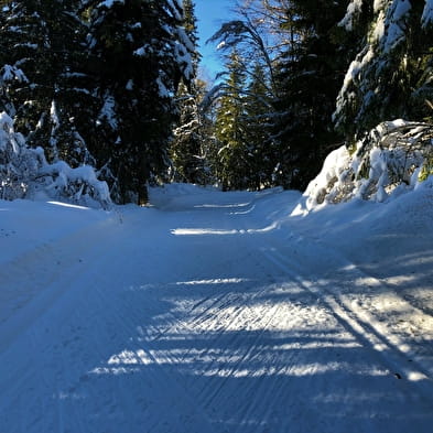 Piste noire de ski de fond de Lachat : Les Moussières