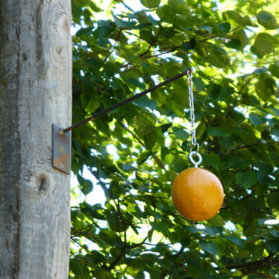 Sentier 'Le Parfum d'Estrela'