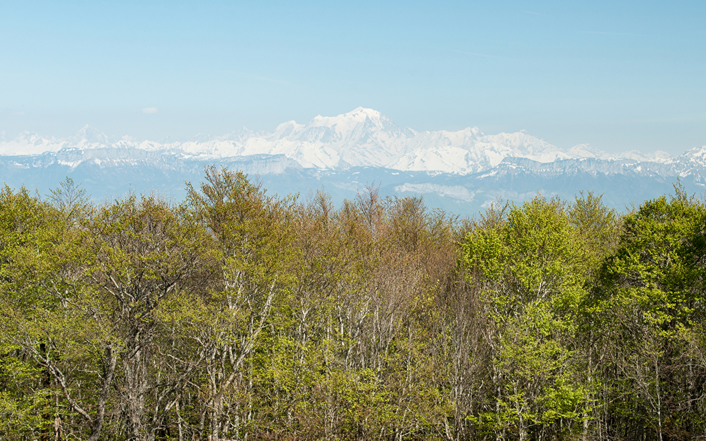 Randonnée pédestre - La Montée de Sur-Lyand