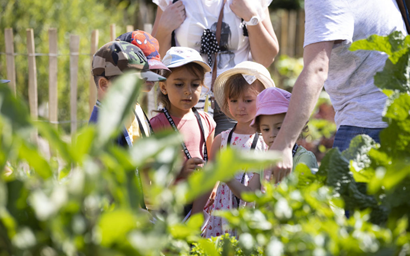 Les p'tits ateliers du printemps