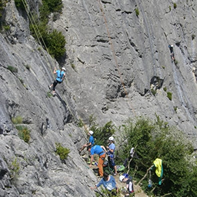 Escalade avec Lézard des Bois