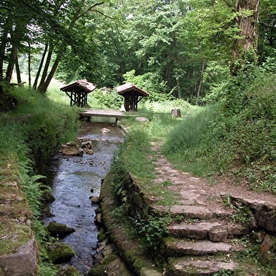 Village de Journans et source de la Reyssouze