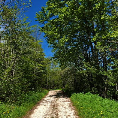 Grandes Traversées du Jura (GTJ) : Itinéraire gravel de Mandeure à Culoz