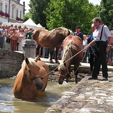 L'Aiguayoir