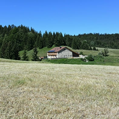 Gîte Tré Le Grenier - Le Grand