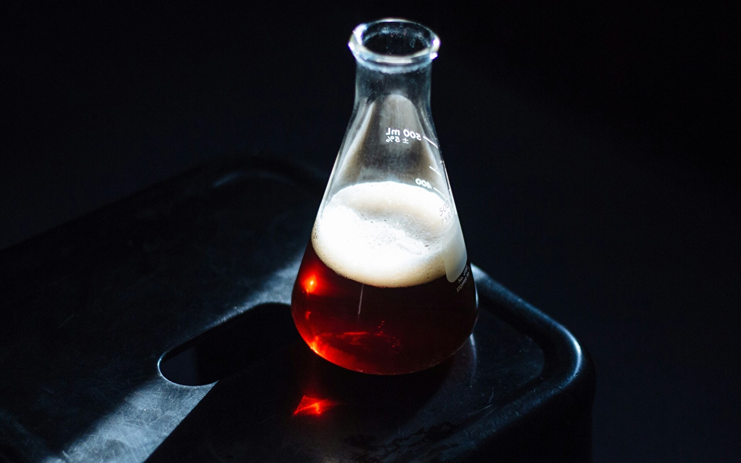 Bière, des ferments et des hommes