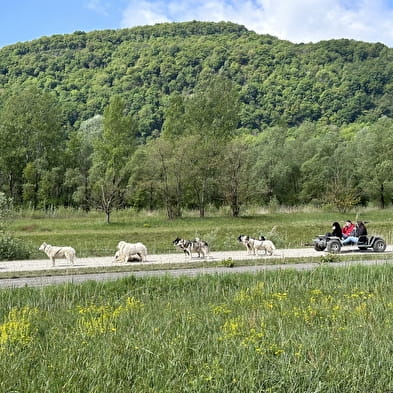 Cani-kart - Au cœur des loups