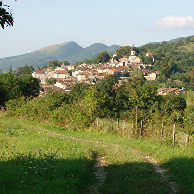 Circuit VTT n°3 (bleu) - Treffort, la médiévale
