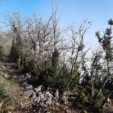 Falaise de Chatillon - Maquis de l'Ain, camp de Chalours