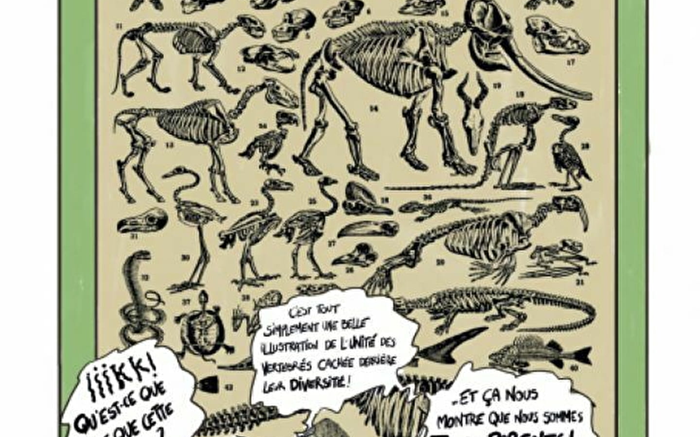 Exposition - Histoire de sciences : évolution et biodiversité