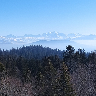 Sentier raquettes La Chouette