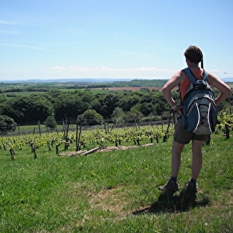 Les Trois Villages - LE MOUTHEROT