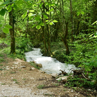 Cascade de Pisse-Vache