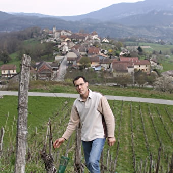 Caveau Quinard - MASSIGNIEU-DE-RIVES