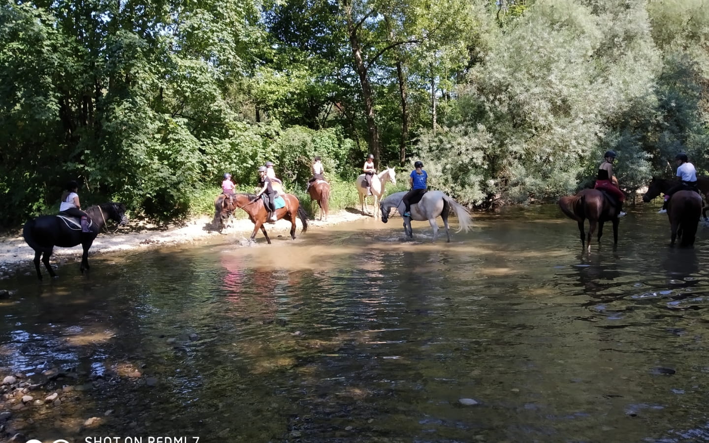 Promenade à cheval 1h30 avec Ranch des Balmettes