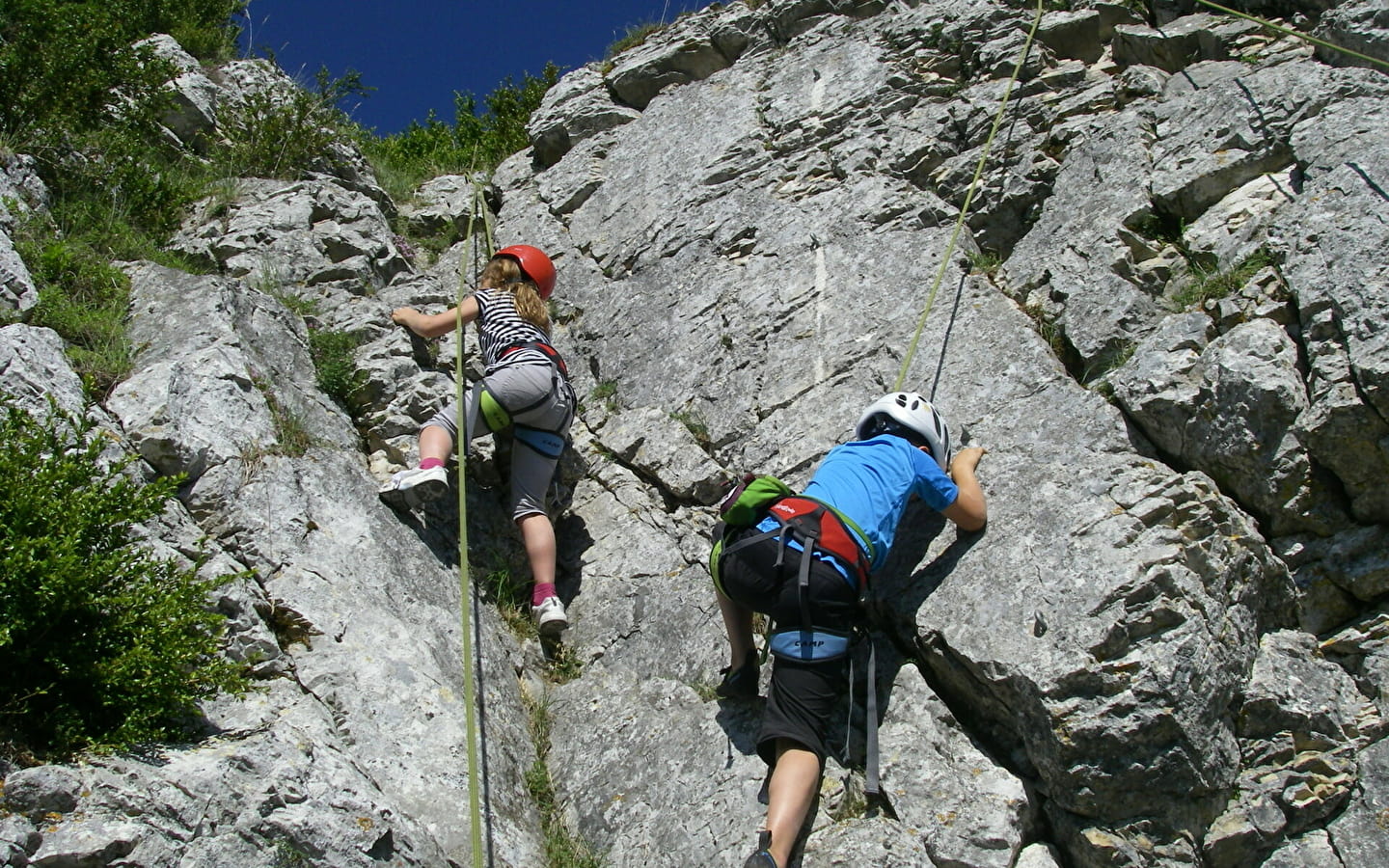 Escalade avec Lézard des Bois