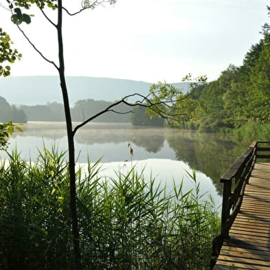 Domaine de pêche à l'étang de la Grange du Pin