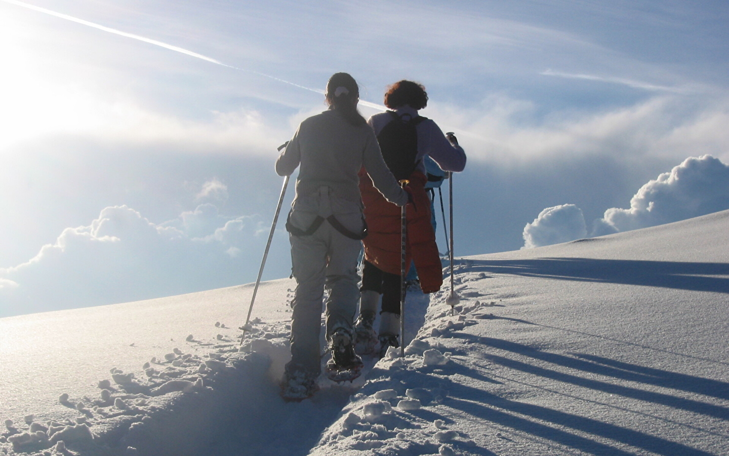 Randonnée raquettes : sur le plateau de la Dole