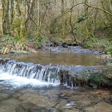 Balade nature : le sentier du Buizin
