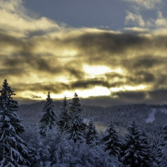 Nouvel An - Fiesta dans le Jura -