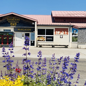 Fromagerie du Haut Jura - LES MOUSSIERES