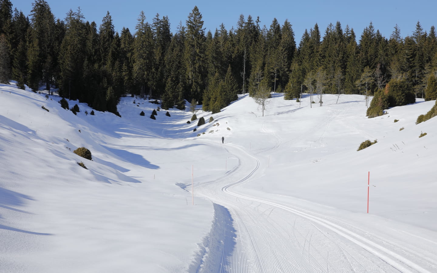 Site Nordique de la Haute Joux - Cerniébaud - Mignovillard