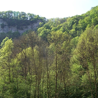 Val de Cusance (variante par la Croix de Saint-Erminfroid) - CUSANCE