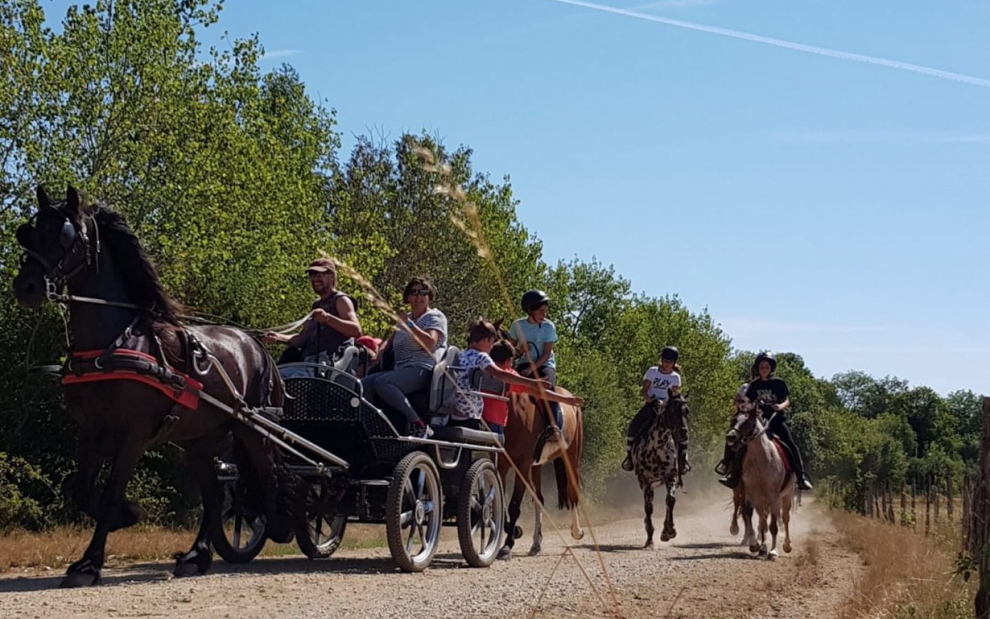 Balade gourmande en attelage- Festival de la randonnée