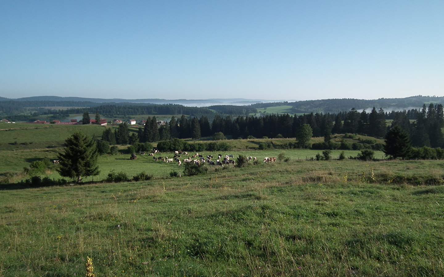 Les Chalets