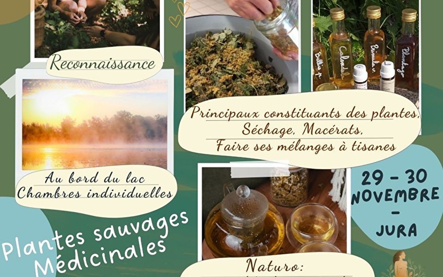 Stage plantes l'hiver : respirer et cultiver la lumière