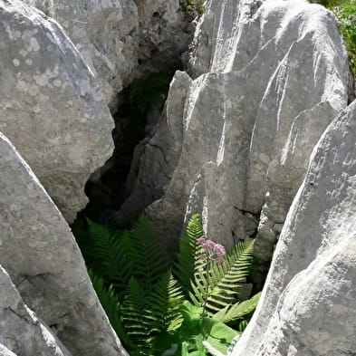 Site de la Vierge de Fierloz, ENS de l'Ain