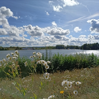 Les Étangs, les canaux et les bornes - BROGNARD