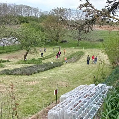 Visite gourmande aux plantes