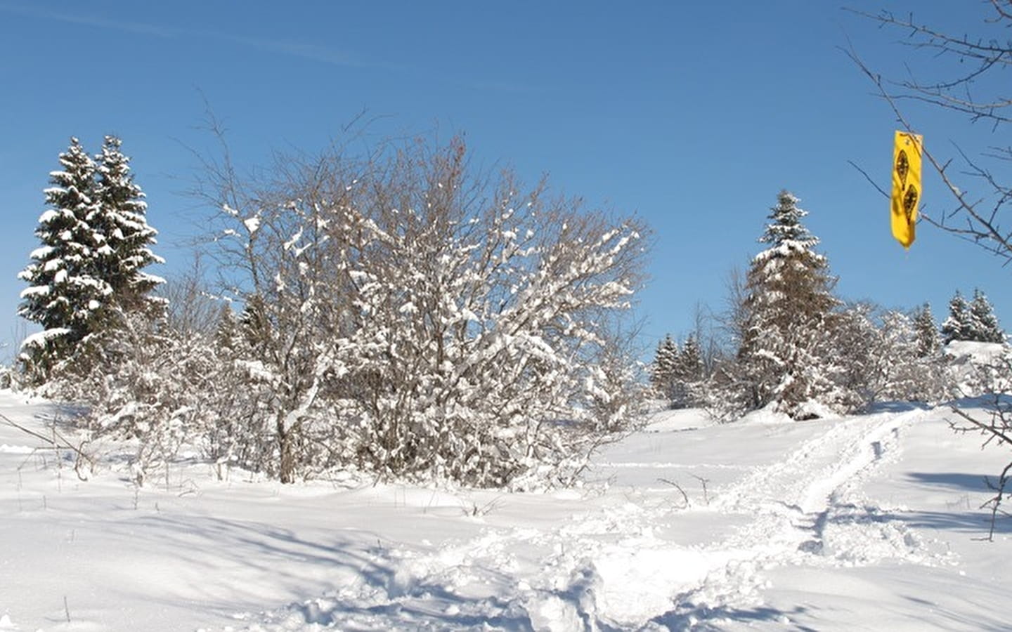 Circuits raquettes - Le Lac-des-Rouges-Truites