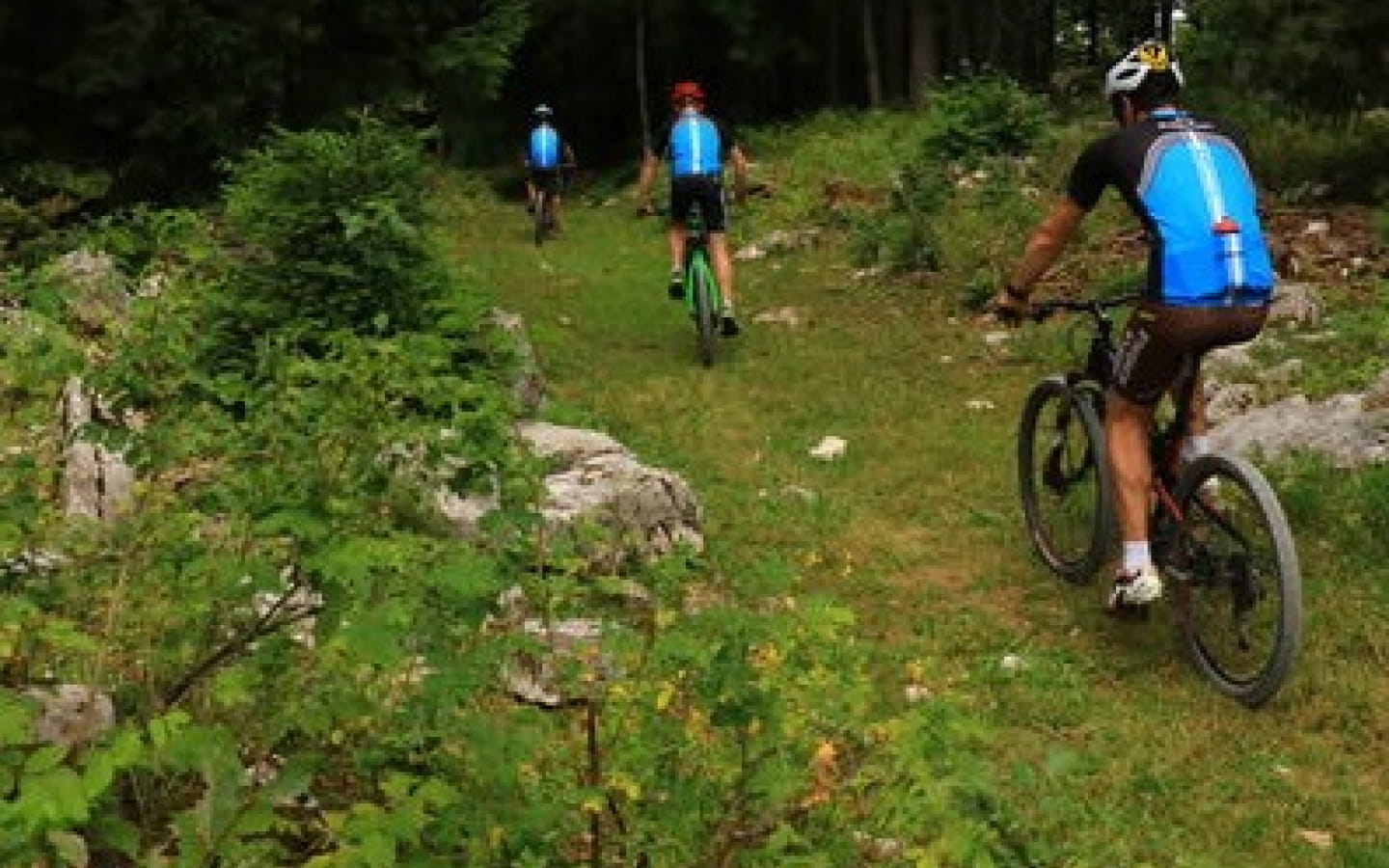 Circuit 15 Les Plans d'Hotonnes - Espace VTT-FFC du Bugey
