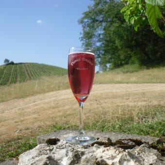 Caveau Daniel BOCCARD - BOYEUX-SAINT-JEROME