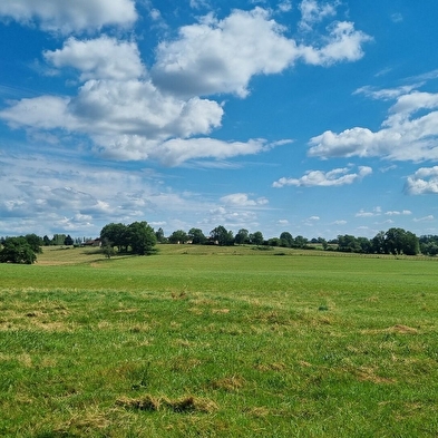 Circuit VTTAE n°9 (rouge) - Le bocage de Foissiat