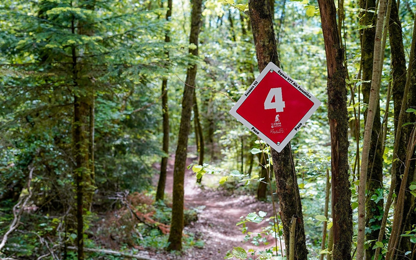 Piste VTT Descente - rouge - Chez Paco - Espace Ain Forestière