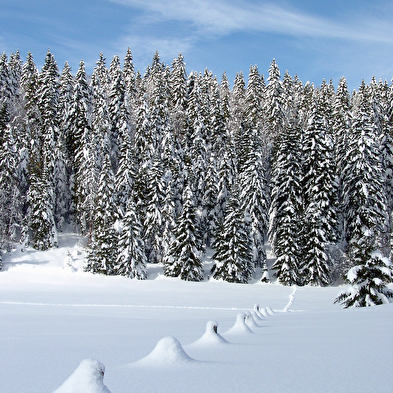 Site Nordique de Gilley