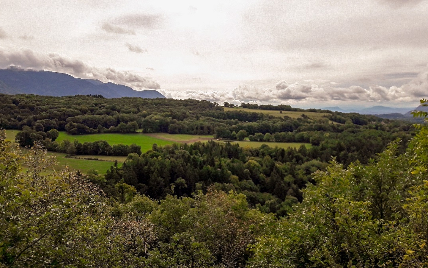 Randonnée du Bois du Geay