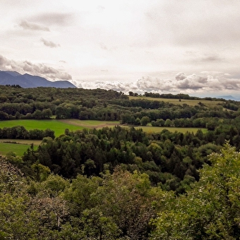 Randonnée du Bois du Geay - HAUT VALROMEY