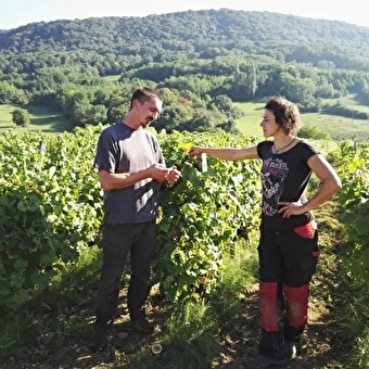 Domaine des Sarmentelles - AIGLEPIERRE