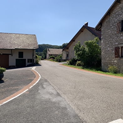 Randonnée - Forêt de la ravière et de Jailloux
