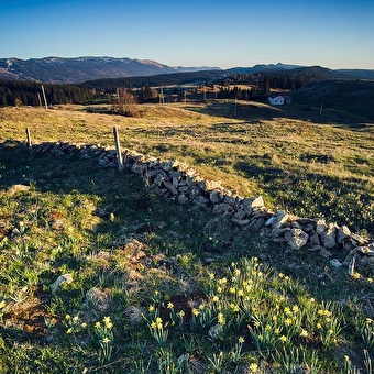 Les Platières - SEPTMONCEL LES MOLUNES